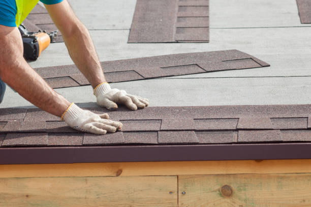 Best Asphalt Shingles Roofing  in Navarre, FL